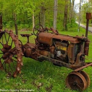 Meet your Posher, Lynn